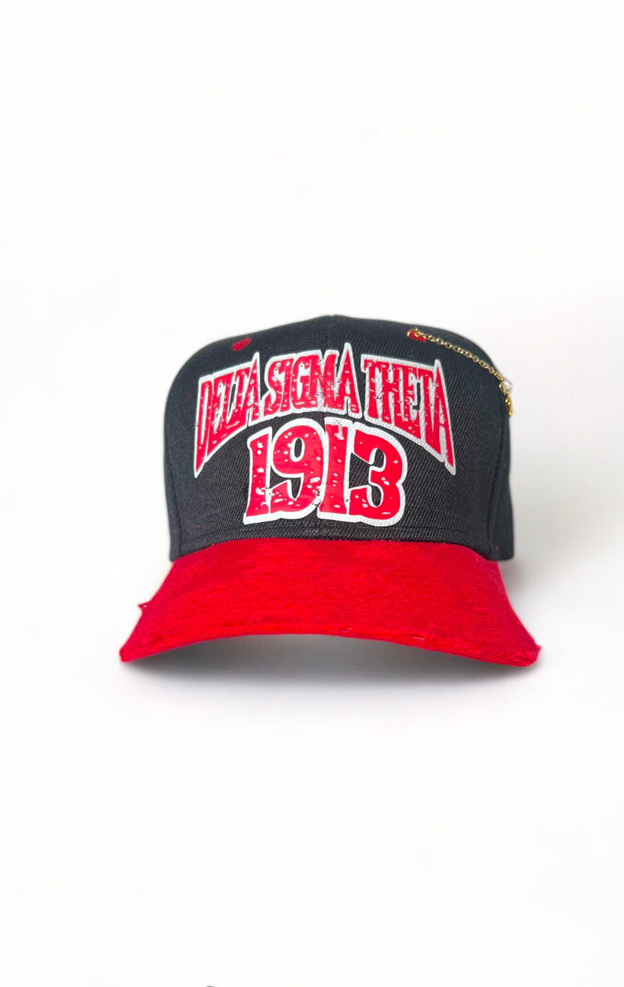 Delta Sigma Theta SnapBack