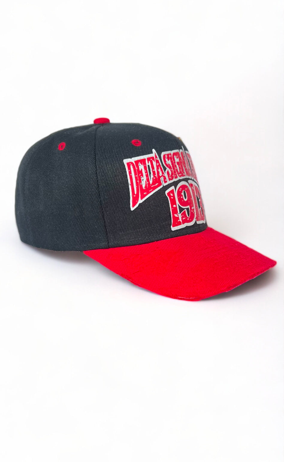 Delta Sigma Theta SnapBack